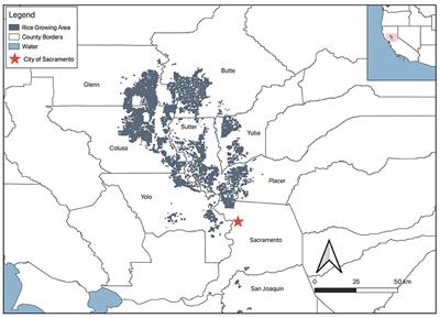 Crop Rotations in California Rice Systems: Assessment of Barriers and Opportunities